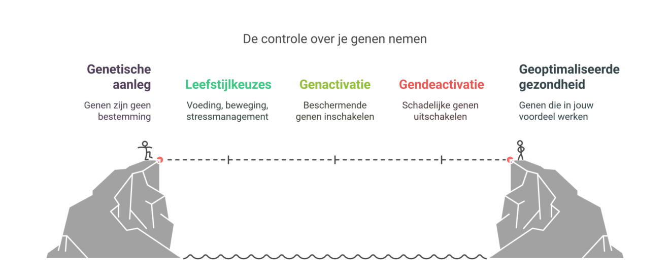 Waarom genen niet alles bepalen