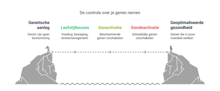 Waarom genen niet alles bepalen
